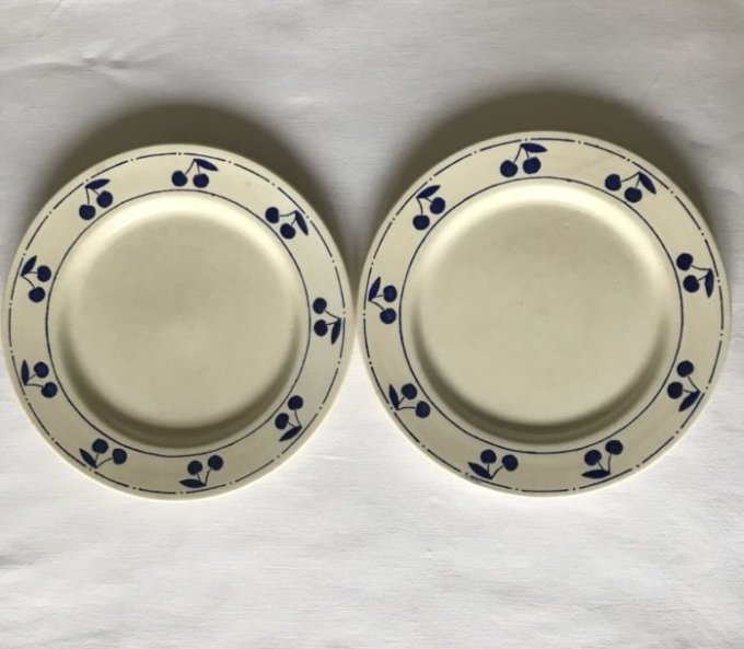 Plates with blue cherry patterns