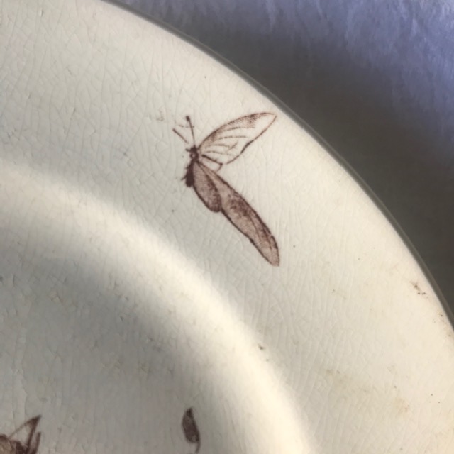 Плоская тарелка Jules Vieillard et Cie, «Птицы»