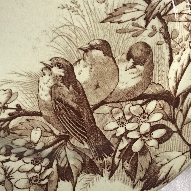 Plato llano Jules Vieillard Bird Series