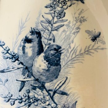 Jules Vieillard & Cie 的“鸟类”菜肴