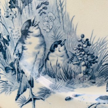 大圆盘 Jules Vieillard Birds