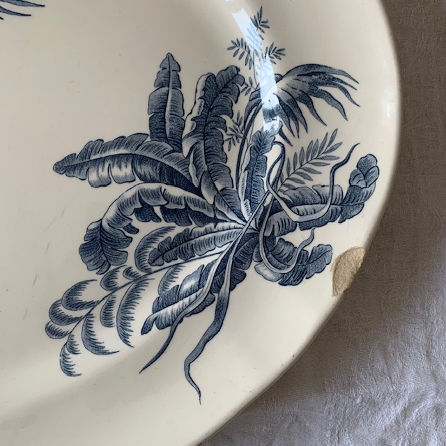 Large Exotic Oval Dish