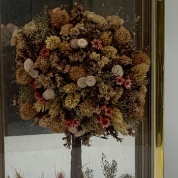 Fleurs séchées dans un cadre doré