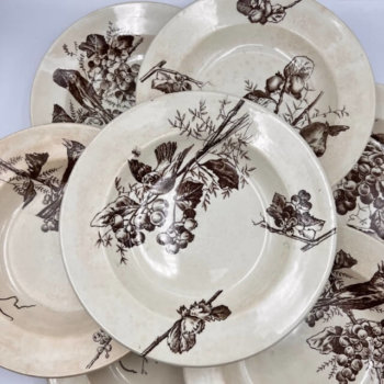 Assiettes creuses sépia à décor d'oiseaux HB&Cie