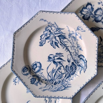 Six assiettes plates Indiana de Clairefontaine