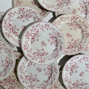 Assiettes plates Epine de U&C Sarreguemines