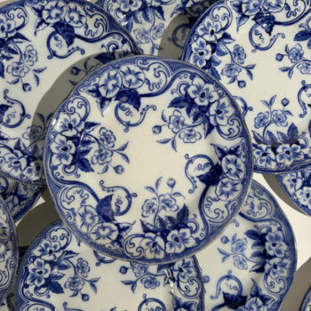 Assiettes plates Flora Liseron Creil et Montereau