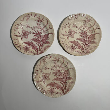 Assiettes plates Norfolk Minton