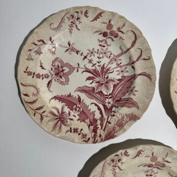 Assiettes plates Norfolk Minton